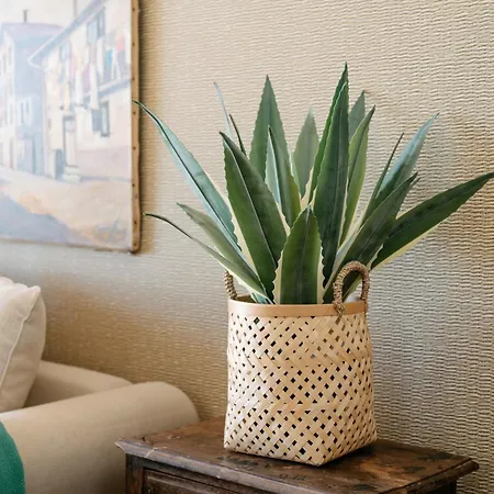 Sunrise House By Wanderlust Madeira - 2 Bedroom Sea View